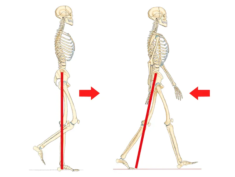 股関節の連動性